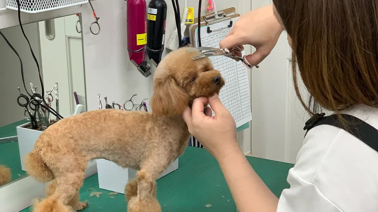 健康管理